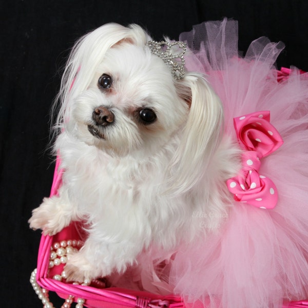 READY TO SHIP Dog Tutu: Baby Pink Dog Tutu - Small, Medium, Large - Gender Reveal Dog Tutu