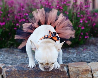 KLAAR OM Dog Tutu te verzenden: Orange & Black Dog Tutu - Kleine Halloween Dog Tutu