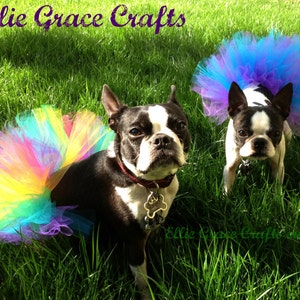 Dog Tutu: Custom Dog Tutu - Small, Medium, Large, XL - You Choose Colors