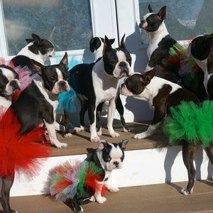 St. Patrick's Dog Tutu: Emerald Green Dog Tutu Small, Medium, Large, XL Fairy Dog Tutu image 10