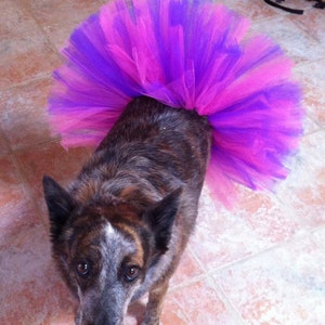 READY TO SHIP Dog Tutu: Bubblegum Pink & Purple Dog Tutu Small, Medium, Large Birthday Dog Tutu image 3