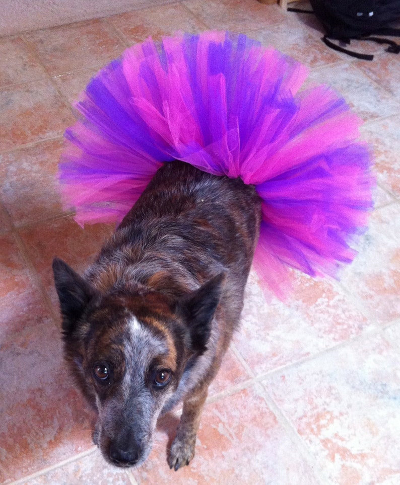 READY TO SHIP Dog Tutu: Bubblegum Pink & Purple Dog Tutu Small, Medium, Large Birthday Dog Tutu image 3