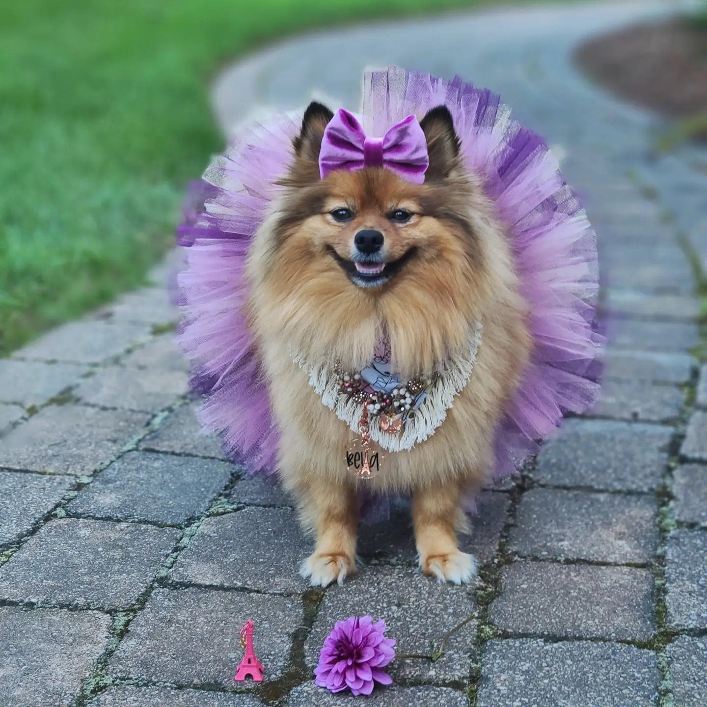 Vestido para Cachorro I'am Barbie Girl