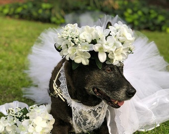 READY TO SHIP Dog Tutu: White Dog Tutu - Large Wedding Dog Tutu