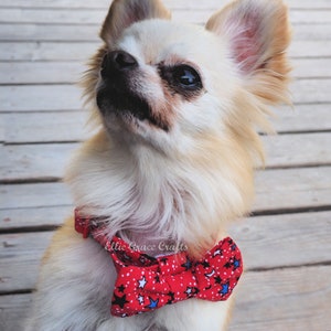 Dog Bow Tie: 4th of July RED with Blue, Black, & White Stars Dog Collar and Bow Tie or Collar Flower image 3