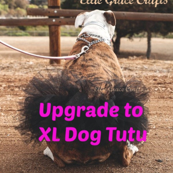 Dog Tutu Upgrade: Upgrade to an XL Dog Tutu OR Add Buckle to Waistband