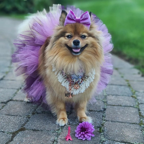 READY TO SHIP Dog Tutu Purple Mix plum Purple Lavender Dog Tutu Medium Etsy