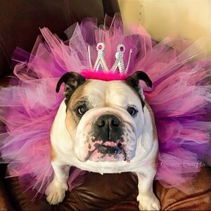 READY TO SHIP Dog Tutu: Bubblegum Pink & Purple Dog Tutu Small, Medium, Large Birthday Dog Tutu image 8