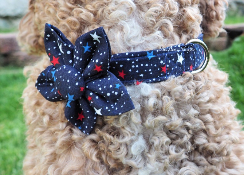 Dog Bow Tie: 4th of July RED with Blue, Black, & White Stars Dog Collar and Bow Tie or Collar Flower image 5