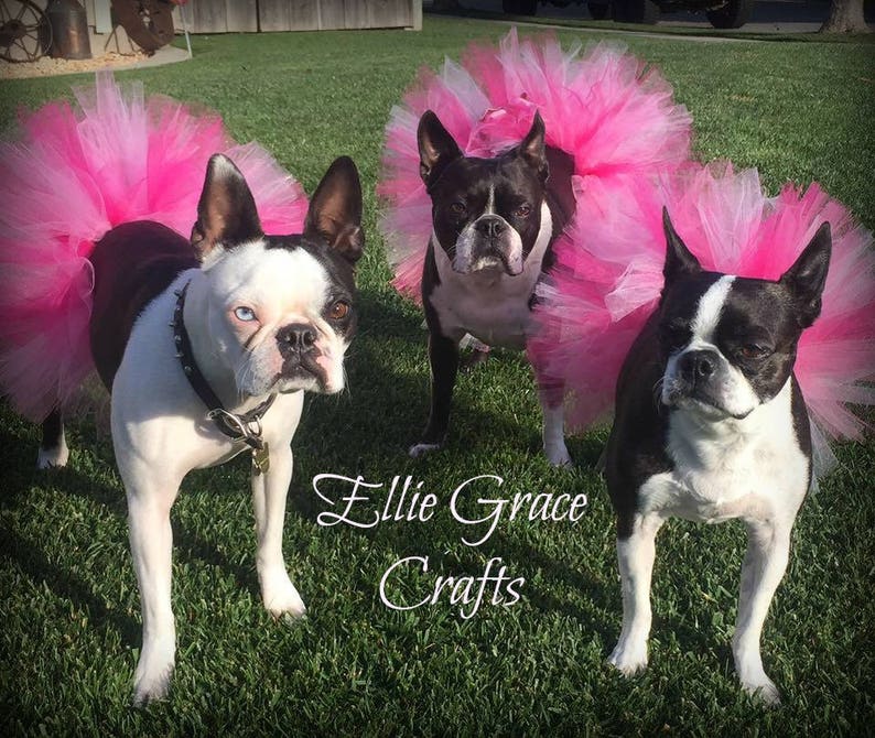 Dog Tutu: Black Dog Tutu Small Medium Large or XL Dog - Etsy