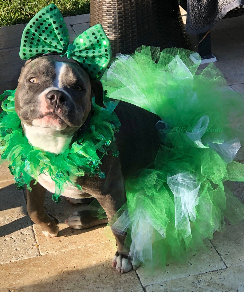 St. Patrick's Dog Tutu: Emerald Green Dog Tutu Small, Medium, Large, XL Fairy Dog Tutu image 6