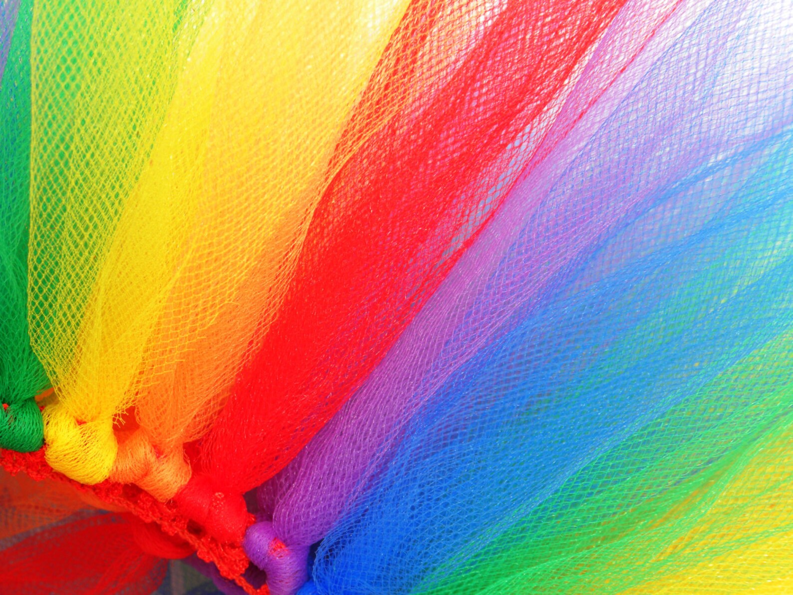 Kleiner Hund Tutu Regenbogen rot Orange gelb grün blau Etsy