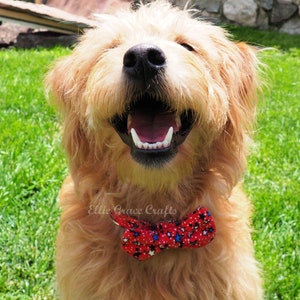 Dog Bow Tie: 4th of July RED with Blue, Black, & White Stars Dog Collar and Bow Tie or Collar Flower image 4