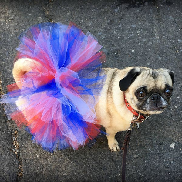 4th Of July Dog Tutu:  Red, White, & Blue Patriotic Dog Tutu - XS, Small, Medium, Large, or XL