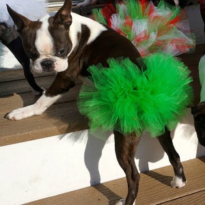 Hund Tutu versandfertig: Smaragdgrün Hund Tutu Klein, Mittel, Groß - Weihnachten Hund Tutu