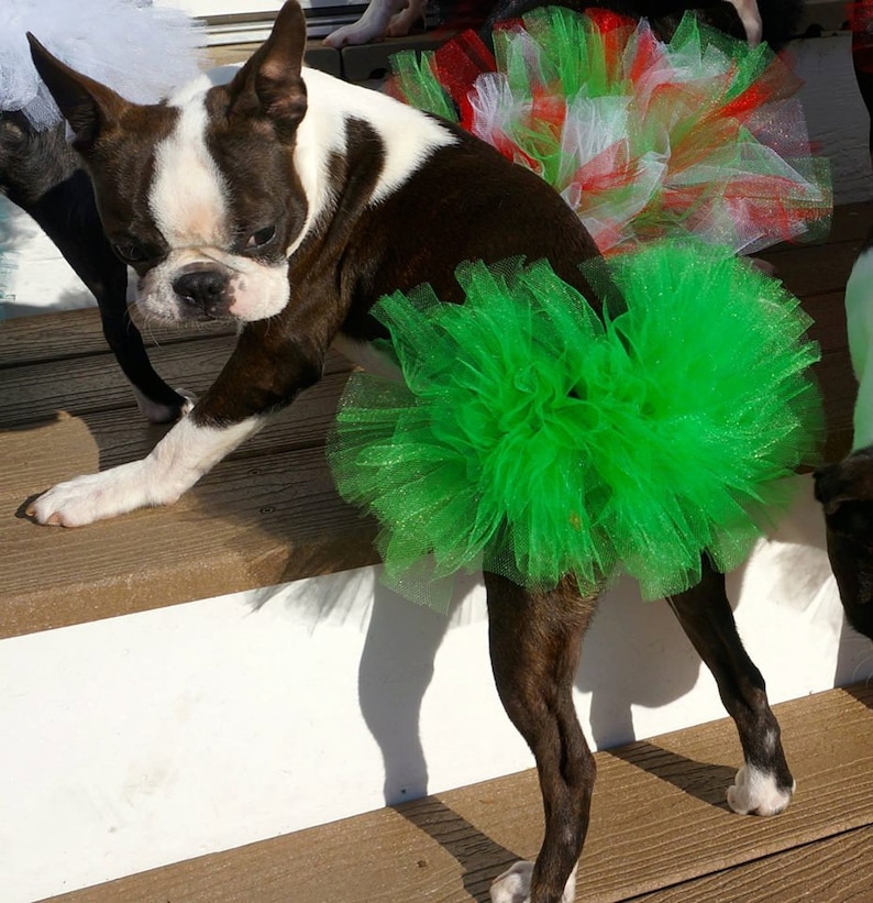 St. Patrick's Dog Tutu: Emerald Green Dog Tutu Small, Medium, Large, XL Fairy Dog Tutu image 2