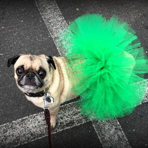 St. Patrick's Dog Tutu: Emerald Green Dog Tutu Small, Medium, Large, XL Fairy Dog Tutu image 1