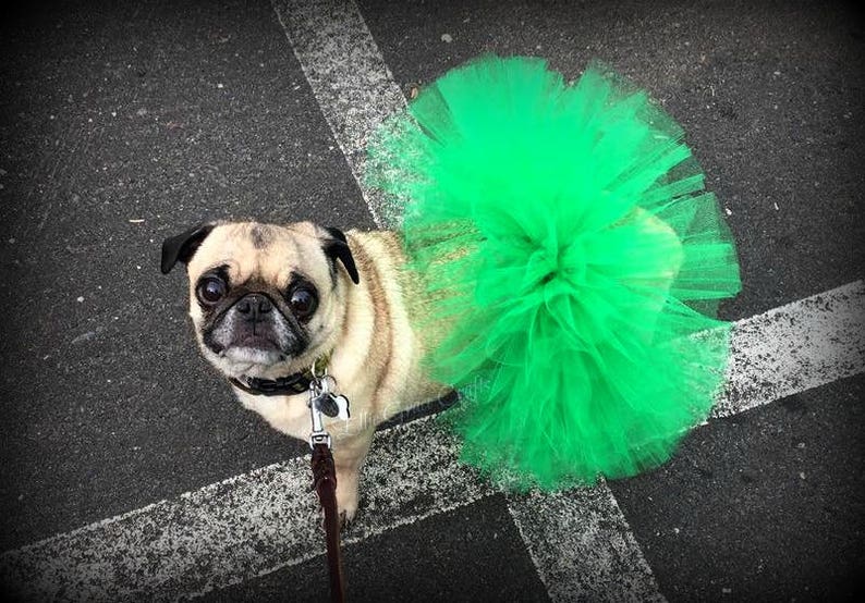 St. Patrick's Dog Tutu: Emerald Green Dog Tutu Small, Medium, Large, XL Fairy Dog Tutu image 1