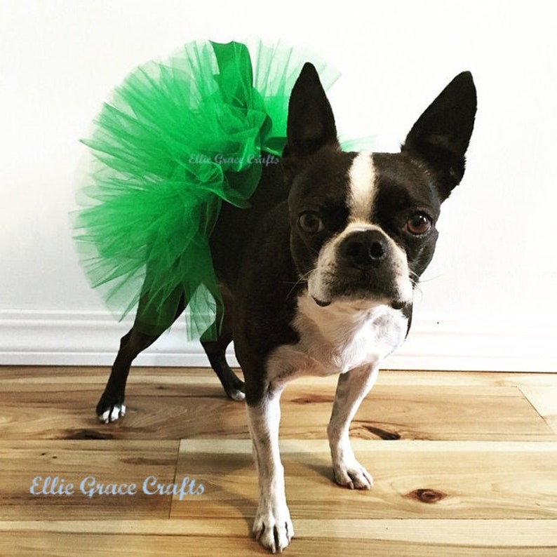 St. Patrick's Dog Tutu: Emerald Green Dog Tutu Small, Medium, Large, XL Fairy Dog Tutu image 4