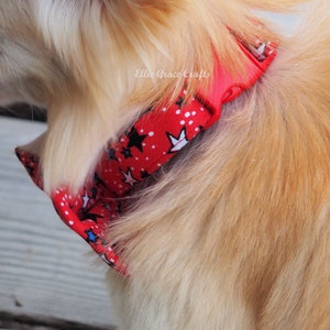 Dog Bow Tie: 4th of July RED with Blue, Black, & White Stars Dog Collar and Bow Tie or Collar Flower image 7