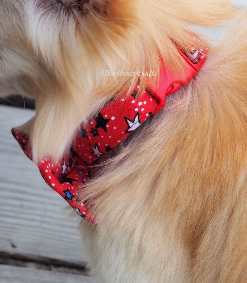 Dog Bow Tie: 4th of July RED with Blue, Black, & White Stars Dog Collar and Bow Tie or Collar Flower image 7