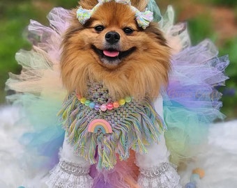 READY TO SHIP Dog Tutu:  Pastel Rainbow Dog Tutu (Pink, Peach, Yellow, Mint Green, Baby Blue, Lavender) - Medium Dog Tutu