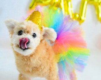 KLAAR OM TE VERZENDEN Hond Tutu: Lente Regenboog (roze, oranje, geel, groen, turkoois, paars) Hond Tutu - Klein, Medium, Groot - Halloween Hond Tutu