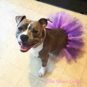 READY TO SHIP Dog Tutu: Bubblegum Pink & Purple Dog Tutu Small, Medium, Large Birthday Dog Tutu image 7
