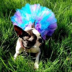 Dog Tutu DIY Kit: Choose Your Colors & Size Make At Home image 5