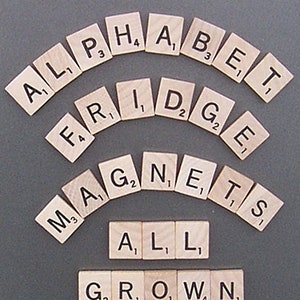 Scrabble Alphabet Refrigerator Magnets . . . All Grown Up Learning Toy, Kid's toy, Educational Toy image 1