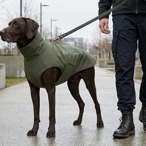 Può includere: Un cane marrone con una giacca verde oliva con la scritta "RANGER" stampata. Il cane è al guinzaglio e viene portato a spasso da una persona con pantaloni e stivali neri. Lo sfondo comprende edifici e un marciapiede.