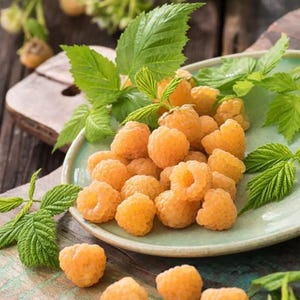 May include: A close-up of a plate filled with golden raspberries and green leaves. The raspberries are a vibrant yellow-orange color and have a textured surface. The leaves are a bright green, adding contrast to the fruit.