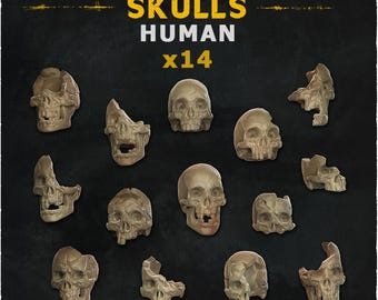 14x Human Skulls For Basing Bits | 28mm 32mm Tabletop Terrain Miniature Diorama Scenery Decor Bones Dead Remains | ZABAVKA WORKSHOP