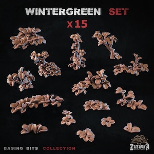 May include: A selection of fifteen brown Wintergreen set miniature basing bits. The set includes various plant-like shapes, such as clusters of leaves and small tree-like structures. The text "Wintergreen Set x15" is visible at the top.