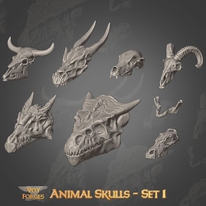 Peut inclure: Plusieurs modèles de crânes d'animaux gris, dont un taureau, un dragon et un bélier. Les crânes varient en taille et en forme, avec des textures et des cornes détaillées. Le texte "ANIMAL SKULLS - SET 1" est visible.