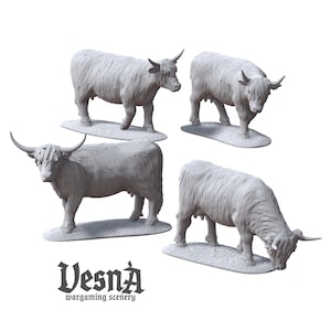 May include: Four unpainted grey miniature highland cattle figures standing on oval bases. Each figurine features long shaggy fur texture and curved horns. The text Vesna wargaming scenery is printed in black at the bottom left of the image.