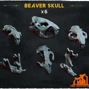 May include: A set of six grey resin beaver skull models, including various skull and jawbone fragments. The text BEAVER SKULL x6 and PRE-SUPPORTED is visible. These miniature skeletal components feature detailed bone textures and anatomical structures.