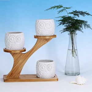May include: A three-tiered bamboo plant stand holds three white owl-shaped ceramic pots. A clear glass vase with greenery and a white seashell are also present. The pots have a textured surface and are designed to hold small plants.