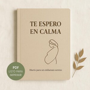 I'll Wait for You in Calm. An emotional support booklet for pregnancy.