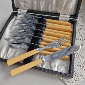 Può includere: Un set di posate vintage in una scatola nera. Il set comprende forchette, coltelli e cucchiai con manici color crema e lame argentate. La scatola è foderata in raso bianco e velluto nero.