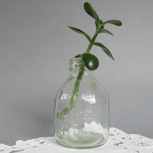 Vintage Apothecary Bottle Clear Glass Medicine Bottle Measure Grading Hospital Bottle Apothecary Jar Vase Vintage Pharmacy Bottle