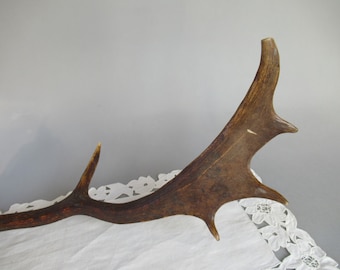 Großes Hirschgeweih, natürliche Tierhorn-rustikale Wand-Dekor