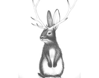 Jackalope Art, Jackalope Drawing, Jackalope Print, Bunny Rabbit with Antlers, Jackalope Nursery, Cryptid Art, Print titled "Jackalina"