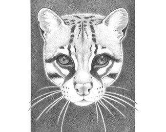 Ocelot Art, Ocelot Drawing, Ocelot Print, Big Cat Print, Big Cat Art, Ocelot Nursery, Ocelot, Print titled "Ocelot"