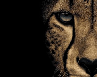Cheetah Wall Art | Dark Animal Portrait Print | Wild Cat Eye Decor
