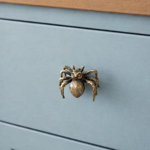 Może przedstawiać: Mosiężny uchwyt do szafki w kształcie pająka zamontowany na jasnoniebieskiej szufladzie. Uchwyt ma szczegółowy wzór, z wyraźnie widocznymi nogami i ciałem pająka. Szuflada jest częścią większej szafki z drewnianym blatem.
