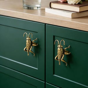 Puede incluir: Puertas de armario verde oscuro con tiradores de latón con forma de insecto. Los tiradores están detallados con antenas y patas. Las puertas del armario forman parte de un mueble más grande, con una encimera de madera clara. Un vaso de agua y libros con flores encima.