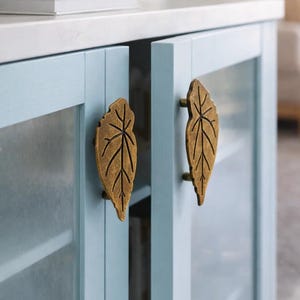 May include: A light blue cabinet with glass doors and brass leaf-shaped handles. The cabinet is partially open. The handles are a prominent feature. Books are stacked on the white countertop above.