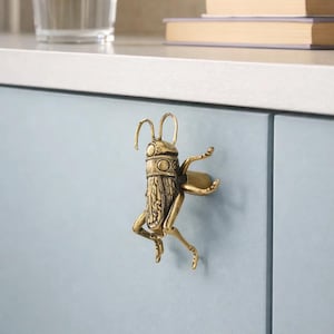 Op de afbeelding: Een messing kastgreep in de vorm van een krekel, gemonteerd op een lichtblauwe kastdeur. De krekel heeft gedetailleerde kenmerken, waaronder antennes en uitgestrekte poten. Een uniek decoratief element.