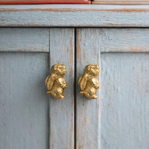 Könnte beinhalten: Zwei goldfarbene Schrankknöpfe in Form kleiner Tiere, montiert an einer hellblauen Schranktür. Die Knöpfe sind mit Fell und Gesichtszügen detailliert. Bücher sind auf dem Schrank gestapelt.